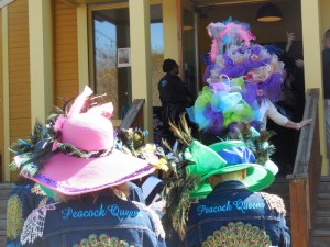 Peacokc Queens (800x600)