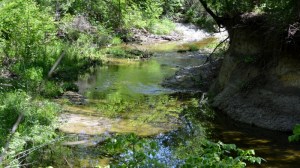 Bear Creek (800x448)