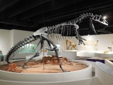 Panhandle Plains Historical Museum. Photo by me.