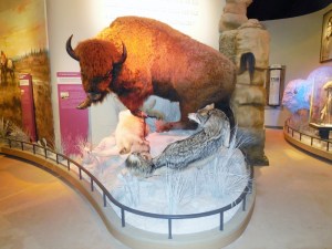 Palo Duro Canyon Trip 4.15 2015-04-22 013 (800x600)