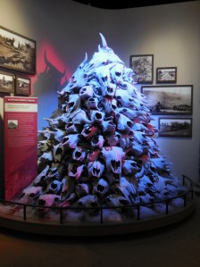 Palo Duro Canyon Trip 4.15 2015-04-22 014 (598x800)