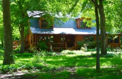 Shooting Star  (800x524)