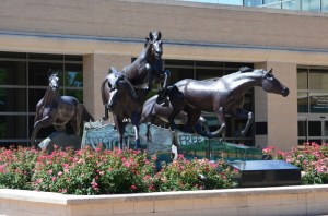 Horses @ Library (800x530)