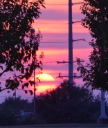 11.10.15 Veterans Park 2015-09-27 013