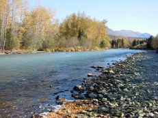 Alaska 2014 Black 2014-09-30 018