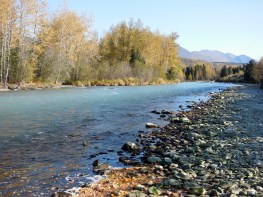 Alaska 2014 Black 2014-09-30 018