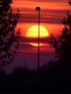 11.10.15 Veterans Park 2015-09-27 008 (601x800)