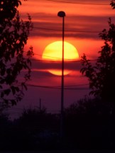 11.10.15 Veterans Park 2015-09-27 008 (601x800)