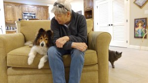 Slinky the Cat (800x450)