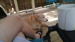 Tucker Breakfast (800x450)