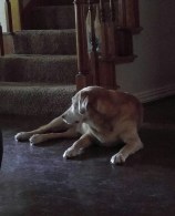 Tucker profile (648x800)