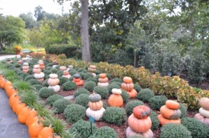 2012-09-30-001-2012-09-30-001-800x530