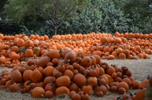 2012-09-30-001-2012-09-30-018-800x530