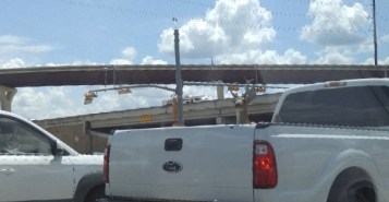 deer-in-pick-up-800x450