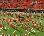 horse-and-rider-800x653