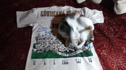 Peach on LSU shirt